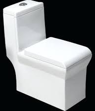 One Piece Square Water Closet