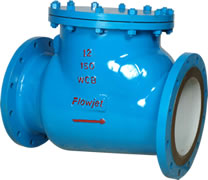 Check Valve