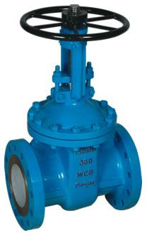 gate valve