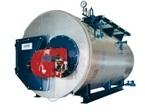 Steam Boiler