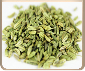 FENNEL SEEDS :