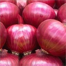 Fresh onion, Color : Red