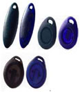 Key Fob Plastic and Leather