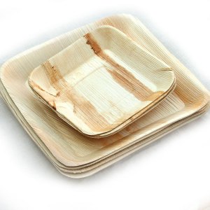 Areca Plates (Palm) Dinnerware