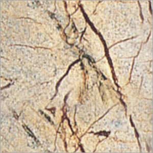 Bidassar Brown marble