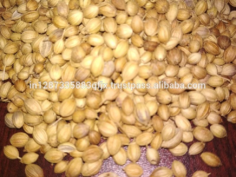 Coriander Seed, Color : Light brown