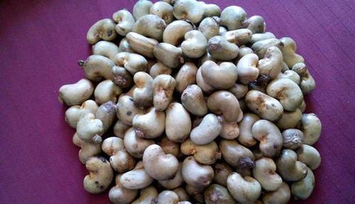 Raw cashew nuts, for Food, Foodstuff, Snacks, Sweets