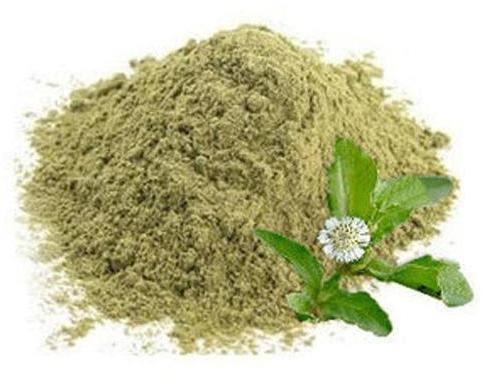 Bhringraj powder, for Hare Care, Anti Dandruff, Anti Hair Fall