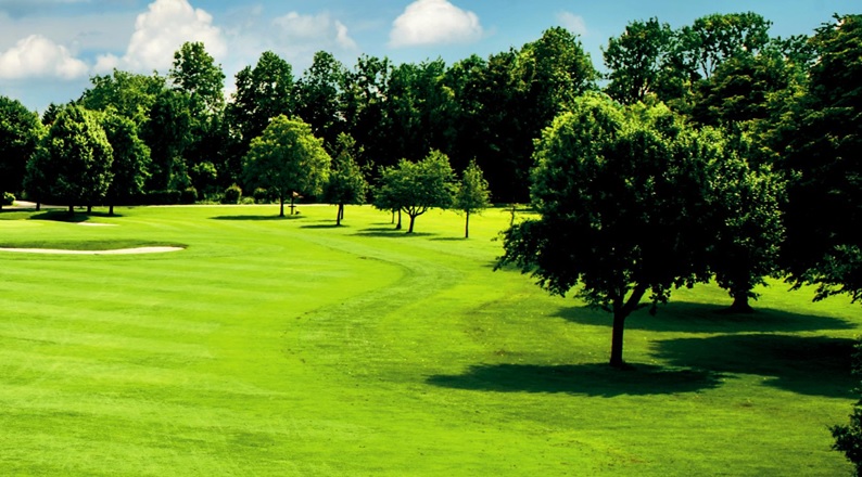Soil Conditioner Amendments for Golf Courses & Sports Turfs
