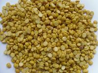 Chana or Bengal Gram