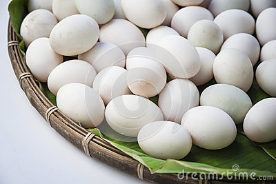 Piken duck hatching eggs