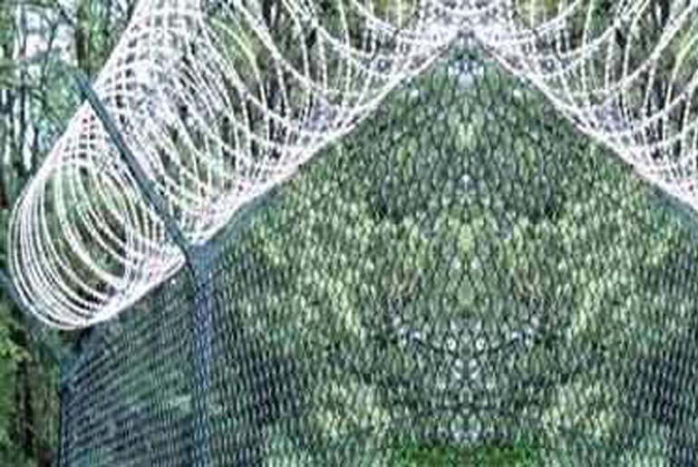 Concertina Wire