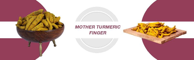 Mother Turmeric Finger