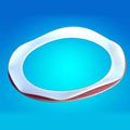 PTFE Envelop Gaskets