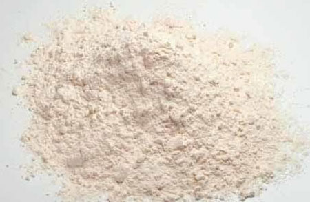 Psyllium Powder
