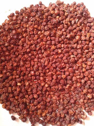 Gloriosa Superba Seeds at Best Price in Dindigul | GSD EXPORTS