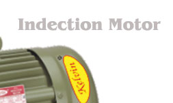 Induction Motor