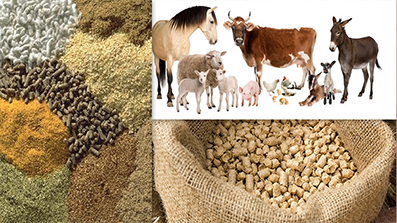 Animal feed Buy Animal Feed for best price at USD 2 / Kilogram ( Approx )