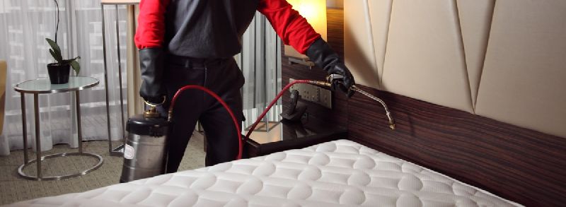 Bed Bug Control Service