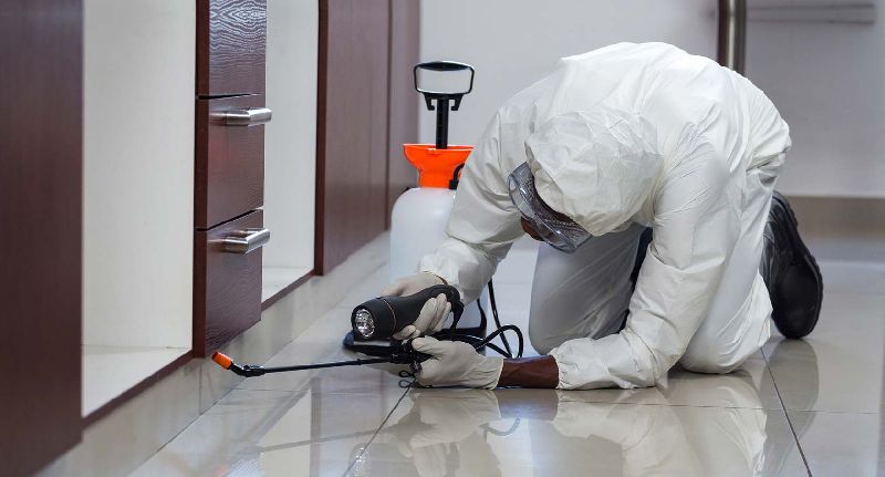 Termite Control Services