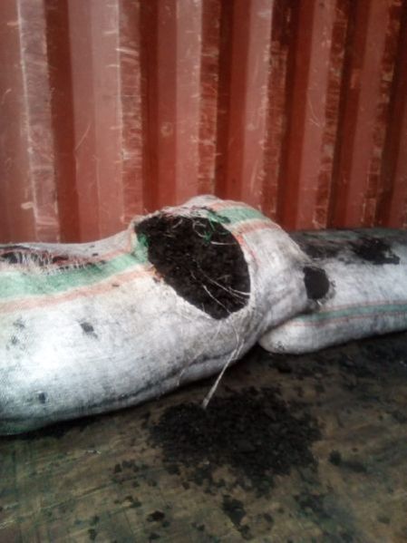 coconut shell charcoal