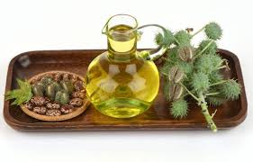 Common castor seed oil, for Cosmetics, Medicines