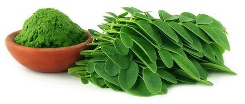 Natural Moringa Leaf Powder, for Cosmetics, Style : Dried