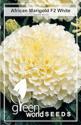 Marigold Hybrid White Seeds