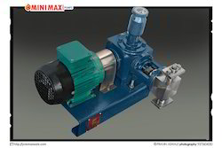 Minimax Dosing SS316 Reciprocating Pump