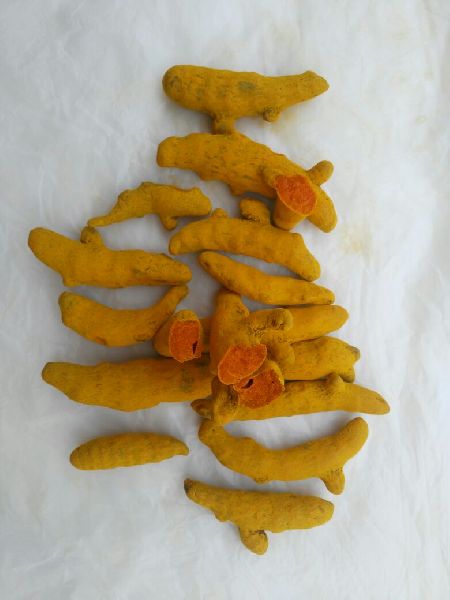 Turmeric Powder( Sangli GI ranking), Color : Yellow