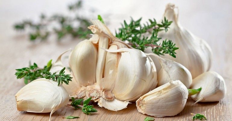 fresh garlic
