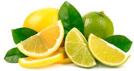 Organic fresh lemon, Shelf Life : 15 Days