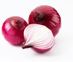 Organic fresh red onion, Packaging Type : Net Bag, Plastic Bag