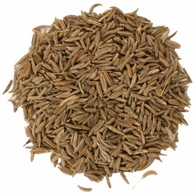 Caraway Essential Oil