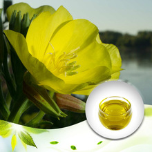 Evening Primrose Oil, Purity : 100 % Pure Nature