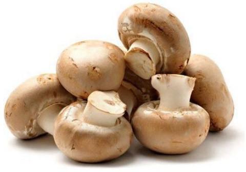 Organic Fresh Button Mushroom, Color : White