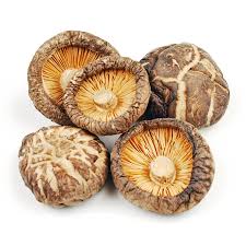 Dry Mushroom, Color : Brown