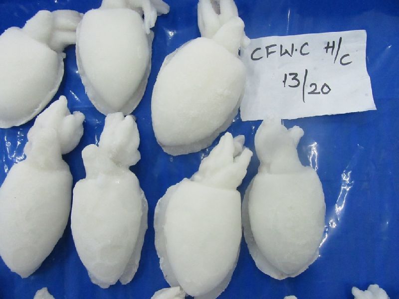 Frozen Cuttle fish whole clean, for Human Consumption, Packaging Type : Carton Box