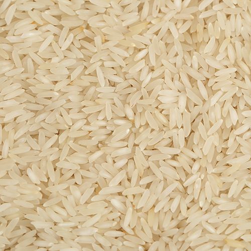 Hard Organic Kali Mooch Rice, Packaging Size : 10kg, 50kg, etc