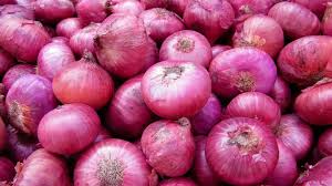 Common red onion, for Cooking, Packaging Type : Loose, Plastic Packet