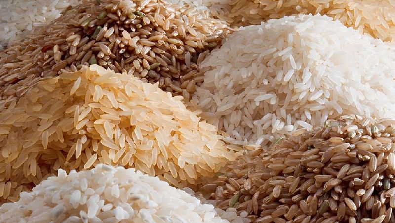 Hard Common indian rice, for Cooking, Food, Human Consumption, Making Snacks, Certification : FSSAI Certified