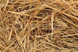 wheat straw