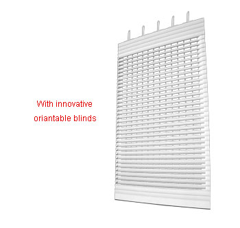 Roller shutter with orientable blinds