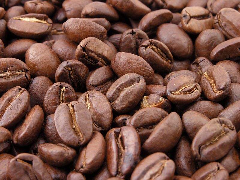 Blended Organic Coffee Beans, for Beverage, Purity : 100%