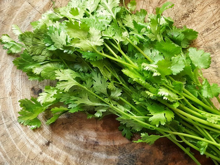 Fresh Coriander