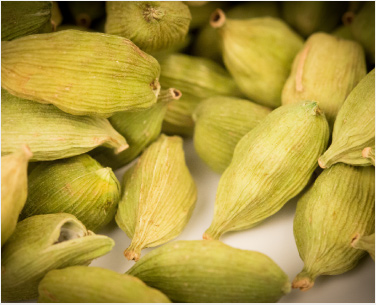 cardamom