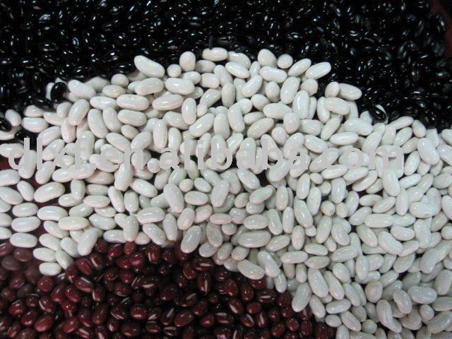 White Red Kidney Beans