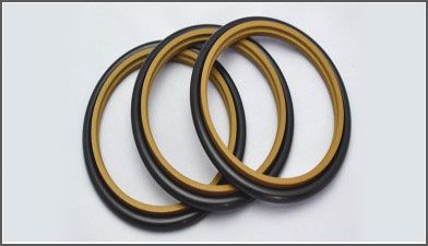 Piston and Rod Guide Ring