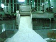 Low Fat Medium & Fine Grade Desicated Coconut Powder