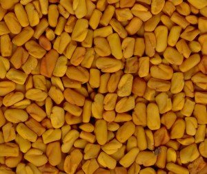 fenugreek seed